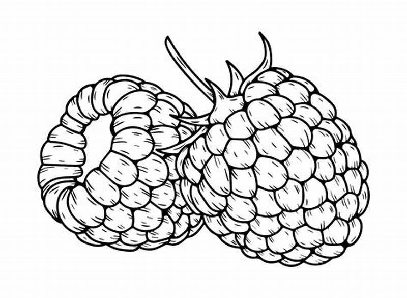 Raspberry Coloring Page