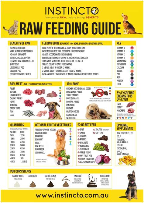 Raw Dog Food Chart