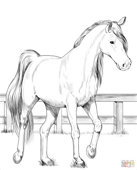 Realistic Printable Horse Coloring Pages