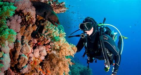 Recreational Diving