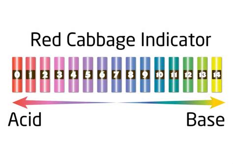 Red Cabbage Color Indicator Chart