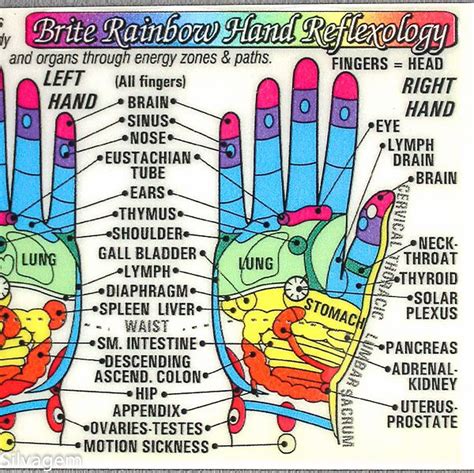 Reflexology On Hands Chart