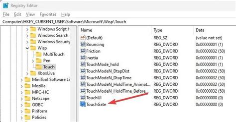 Registry Editor - TouchGate Value