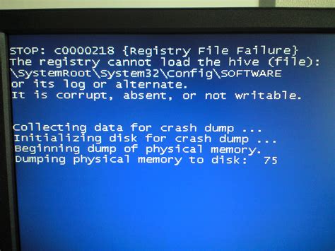 Registry File Failure C0000218
