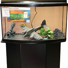 Regular Cleaning for Fish Tank and Stand Combo