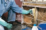 Remove Mold From Home