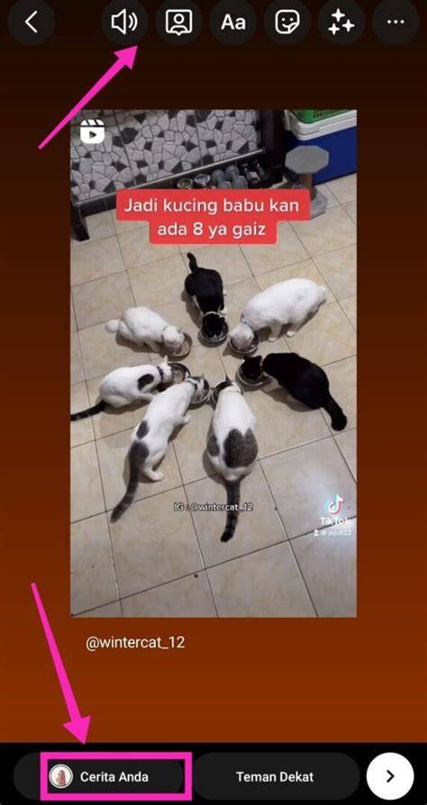 Repost Feed ke Story