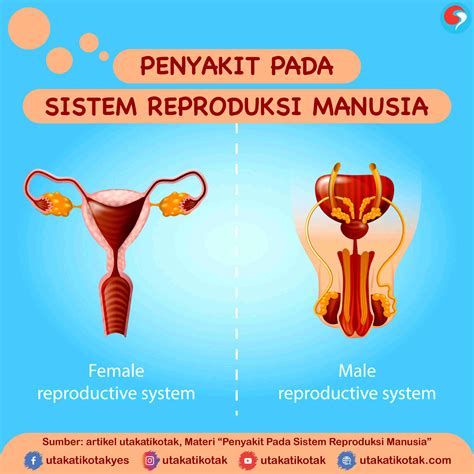 Reproduksi