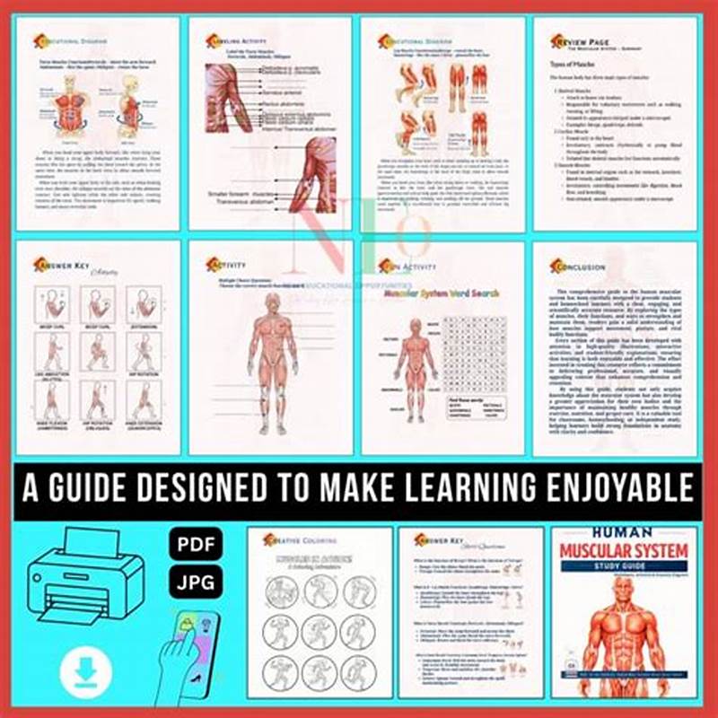 Respiratory System Coloring Answer Key