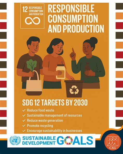 Responsible Consumption SDGs