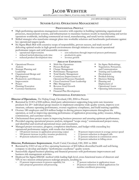 Resume Templates For Senior Executives