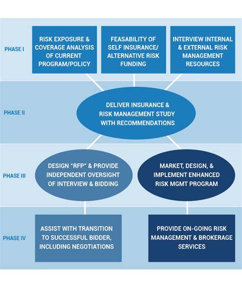 Risk Management Consulting