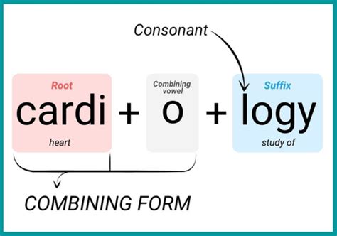 Root Or Combining Form That Means Palm