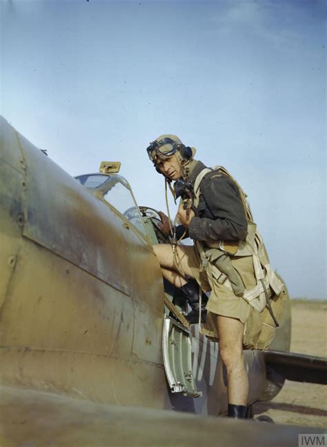 Royal Air Force Pilot