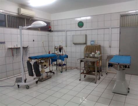 Ruang Operasi Klinik Hewan