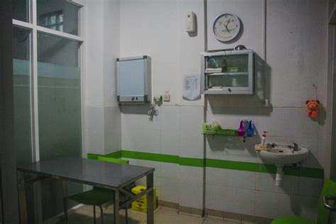 Ruang Periksa Klinik Hewan