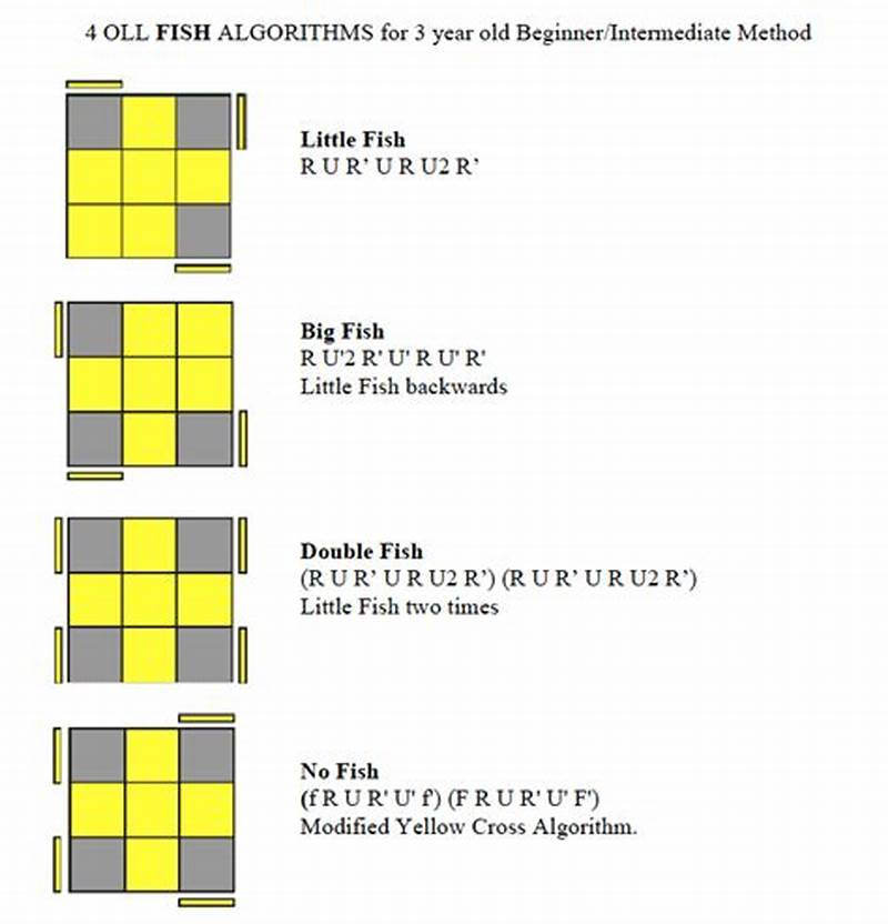 Rubik S Cube Fish Pattern Algorithm