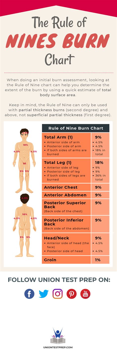 Rule Of Nines Burn Chart
