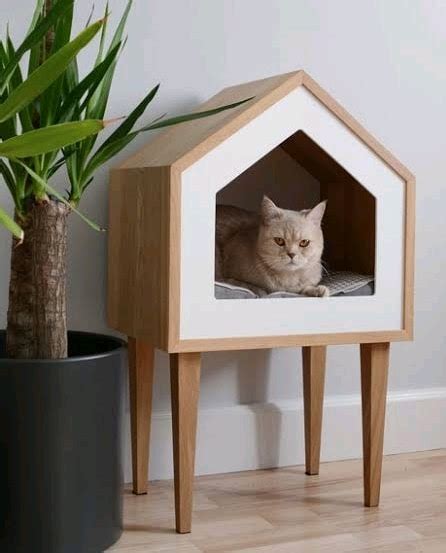 rumah kucing kayu