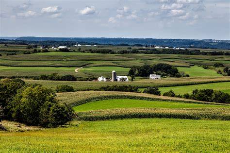 Rural area landscape