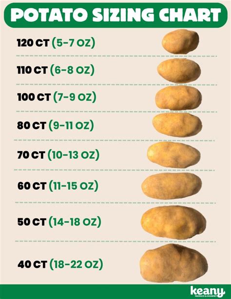 Russet Potato Size Chart