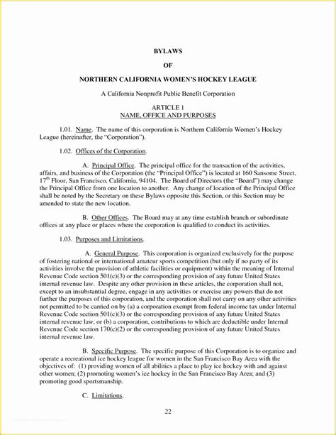 S Corp Bylaws Template