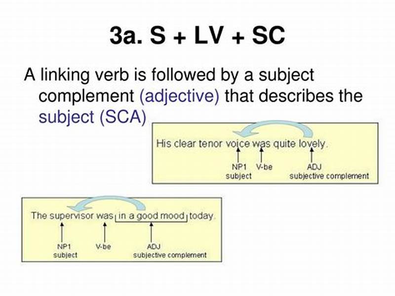 S Lv Sc Sentence Pattern Examples