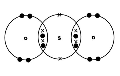 Dot Cross Diagram