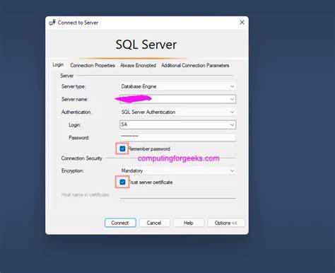 SQL Server Remote Access Security