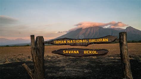 Sabana Bekol