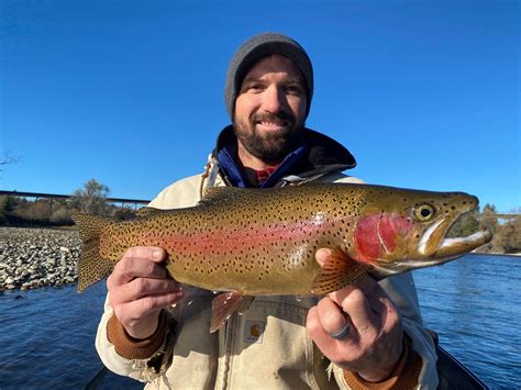 Sacramento River Fishing Report