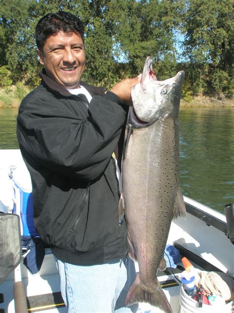 Salmon Feather River