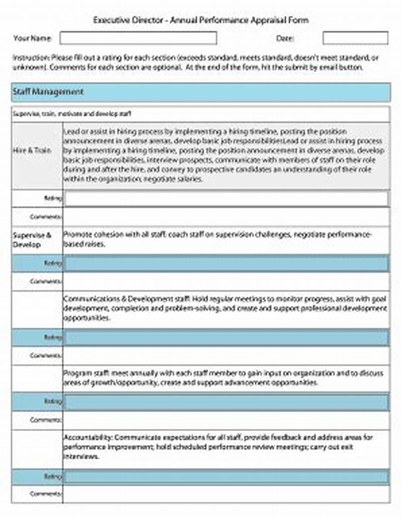 Sample Filled Appraisal Form For Software Developer