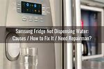 Samsung Refrigerator Water Dispenser Repair
