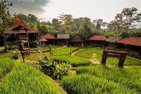 Sawah Segar Sentul Bogor
