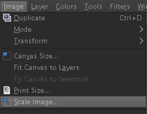 Scale Image Option