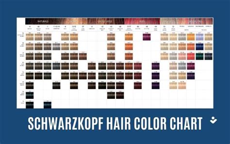 Schwarzkopf Hair Color Chart