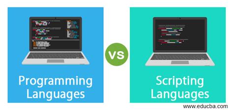 Script Programming