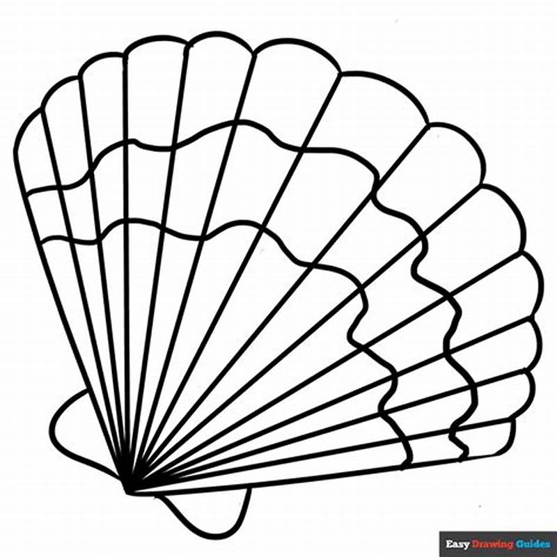 Sea Shell Printable