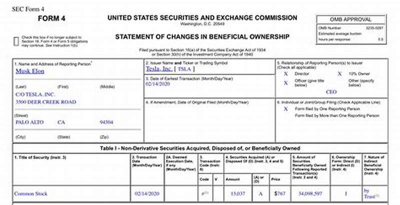 Sec Form 4 Transaction Code M Meaning
