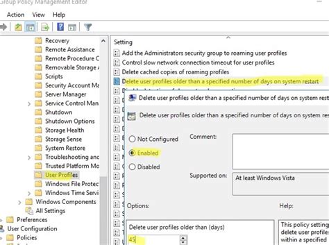 Securely Delete User Profiles in Windows Server