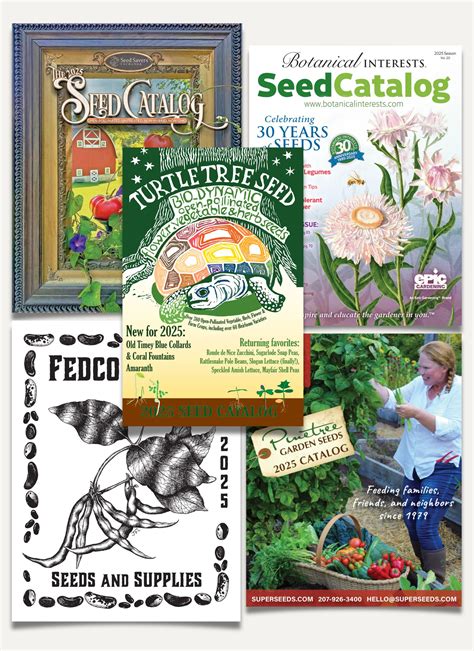 Seed Catalogs Washington State