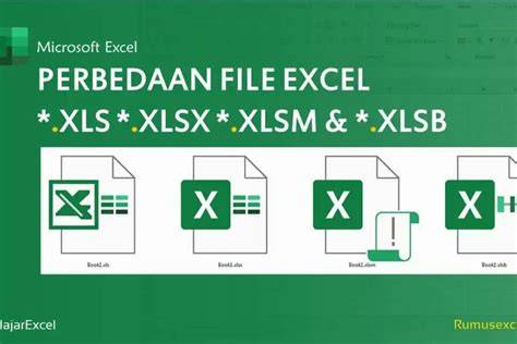 Sejarah Singkat XLS dan XLSX