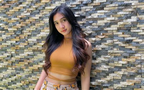 Seleb TikTok