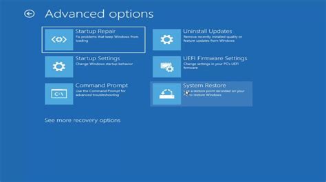 Select Troubleshoot and Advanced Options