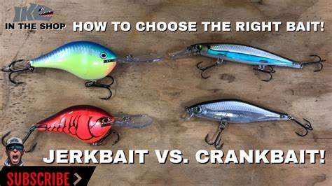 Select the Right Bait and Lure