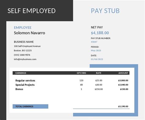 Self Employed Pay Stub Template