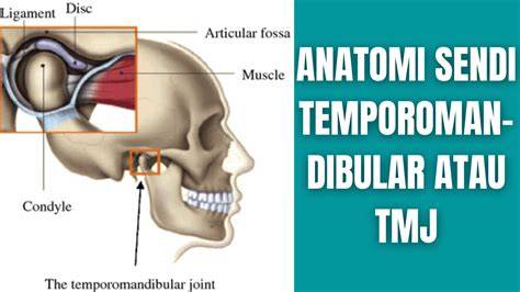 Sendi Temporomandibular