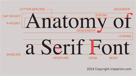 Serif Typeface Example