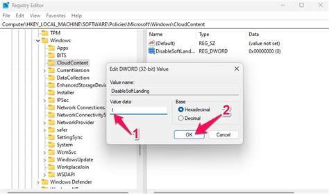 Set Value Data to 1